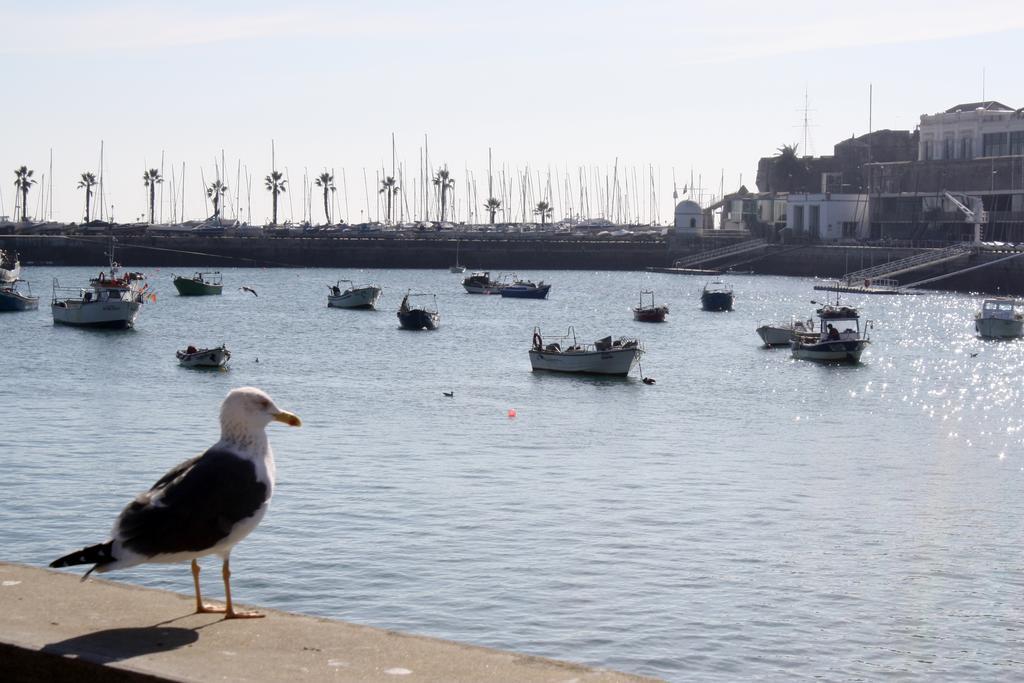 Charming Cascais Apt. Szoba fotó